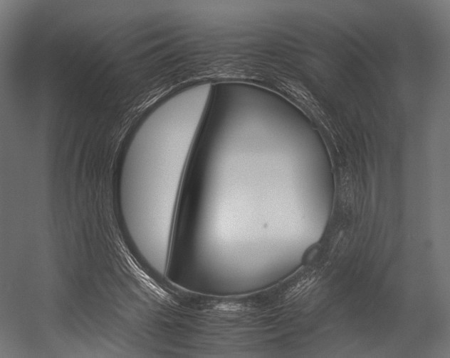 X0000054470441200507291051
