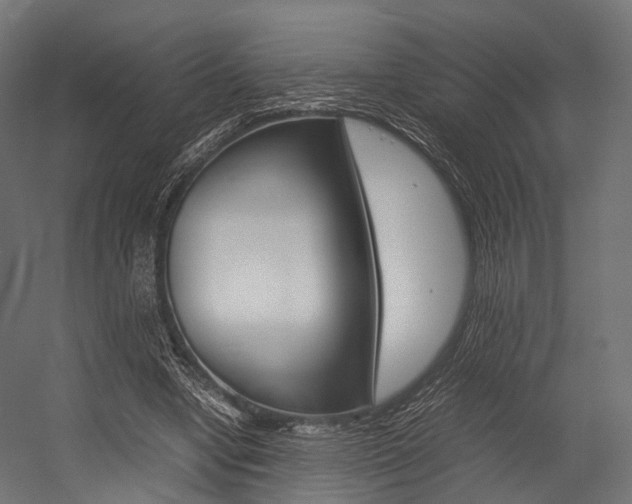 X0000054470442200507291051