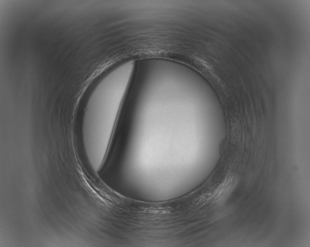 X0000054470443200507291051