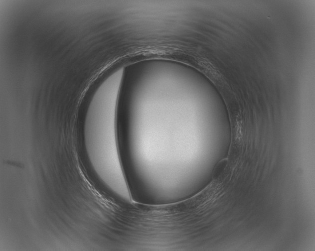 X0000054470444200507291051