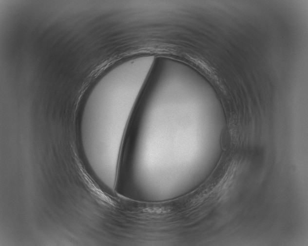 X0000054470445200507291052