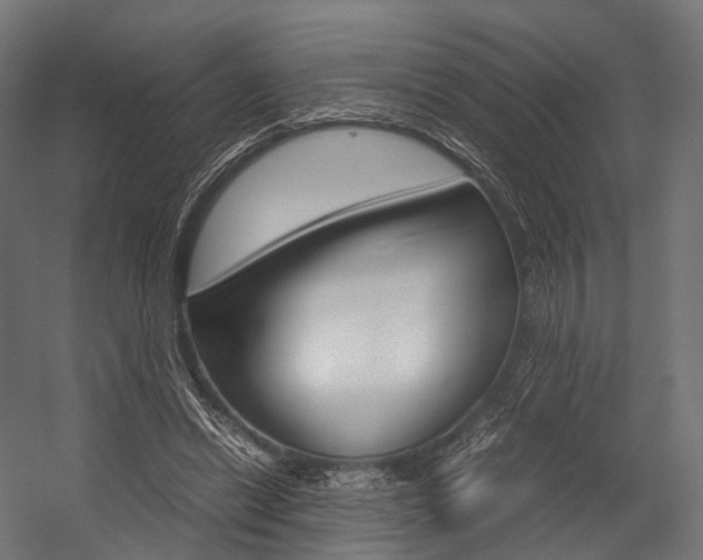 X0000054470446200507291052