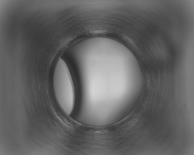 X0000054470447200507291052