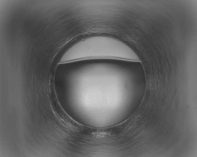 X0000054470448200507291052