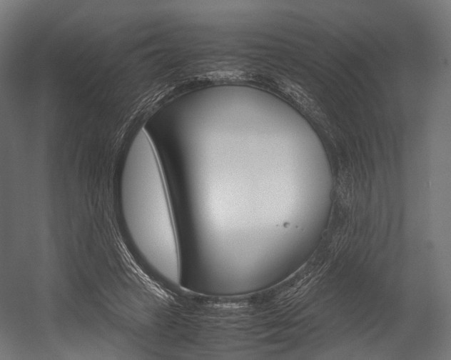 X0000054470449200507291052