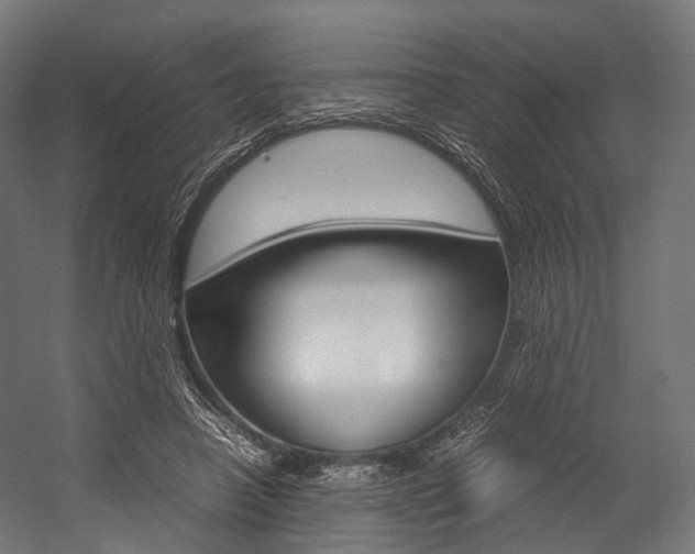 X0000054470450200507291052