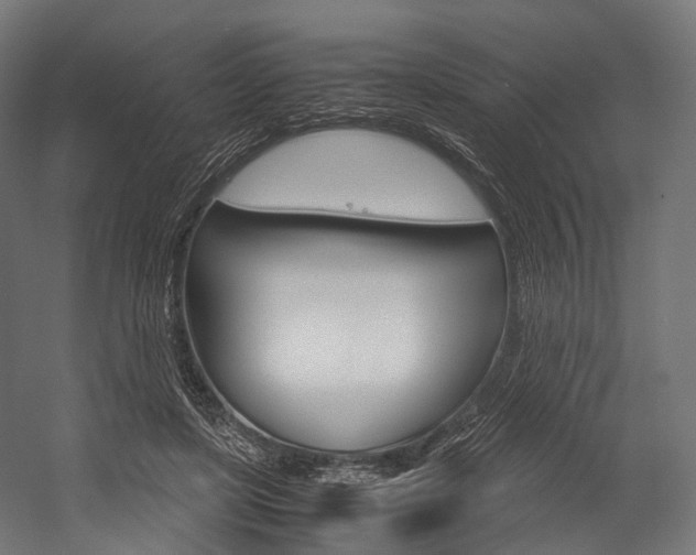 X0000054470451200507291052