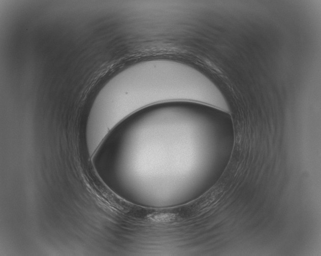 X0000054470452200507291052