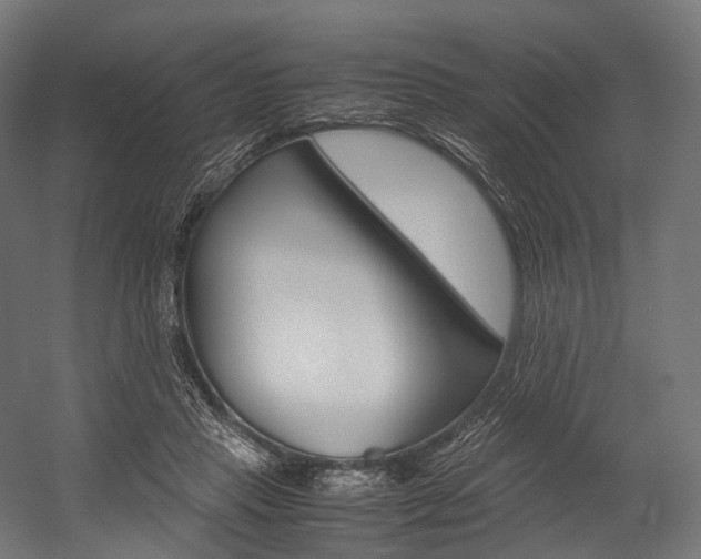 X0000054470453200507291052