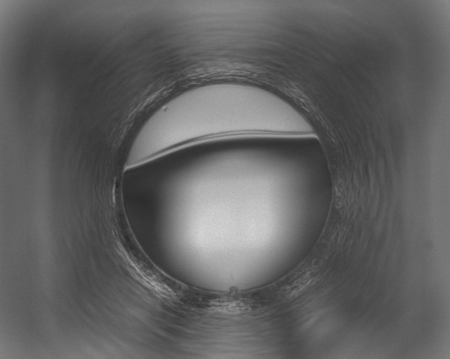 X0000054470454200507291052