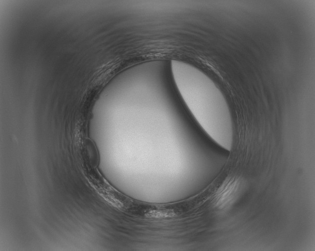 X0000054470455200507291052