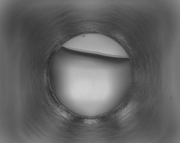 X0000054470457200507291052