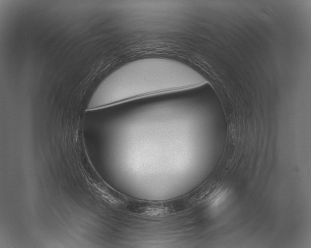 X0000054470458200507291052