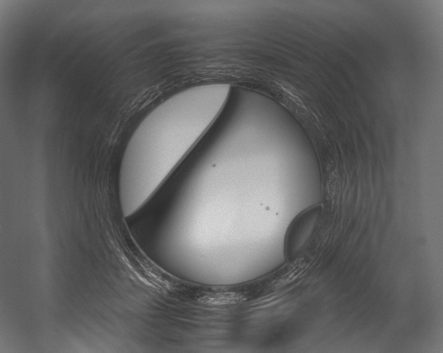 X0000054470459200507291052