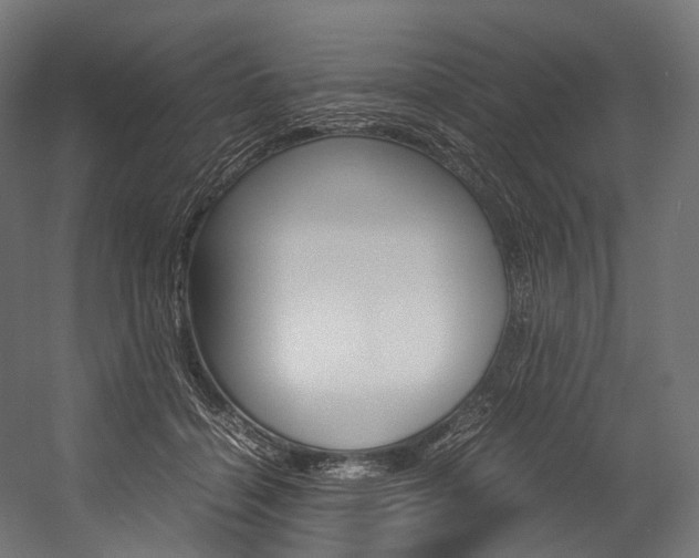 X0000054470460200507291052