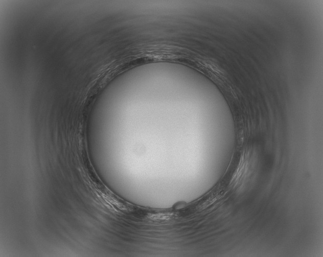 X0000054470461200507291052