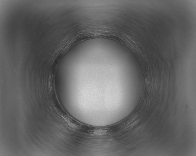X0000054470462200507291052