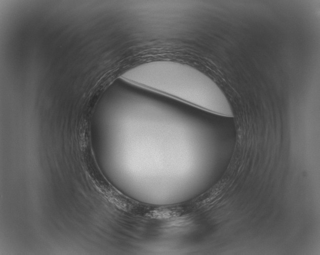 X0000054470464200507291052