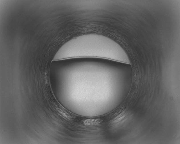 X0000054470465200507291052