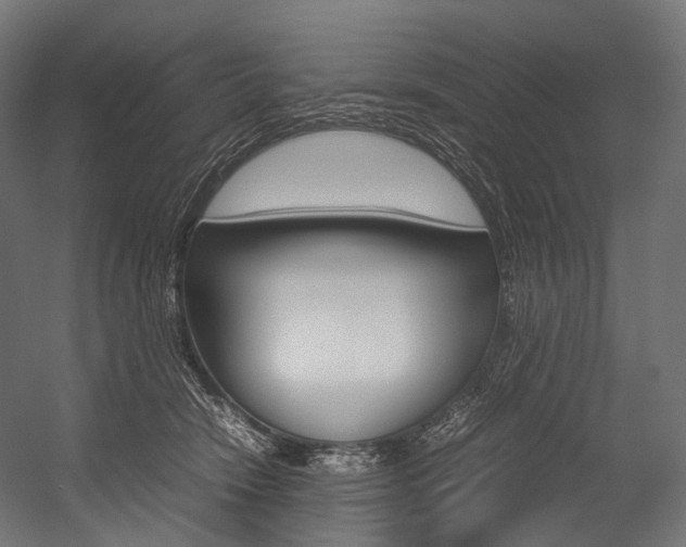 X0000054470466200507291052
