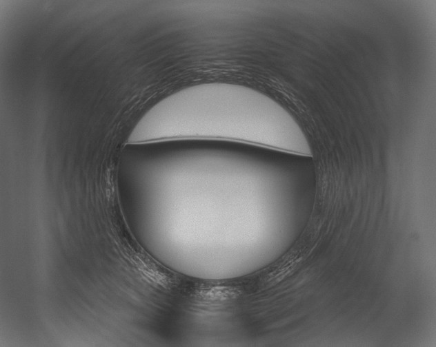 X0000054470467200507291052