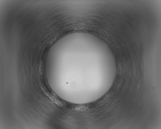 X0000054470468200507291052