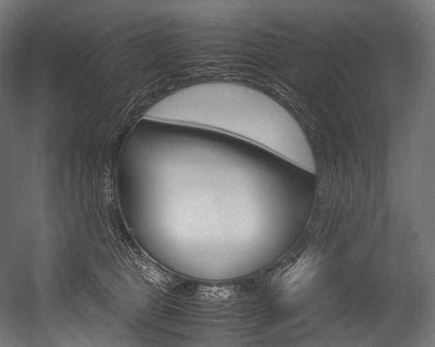 X0000054470469200507291052