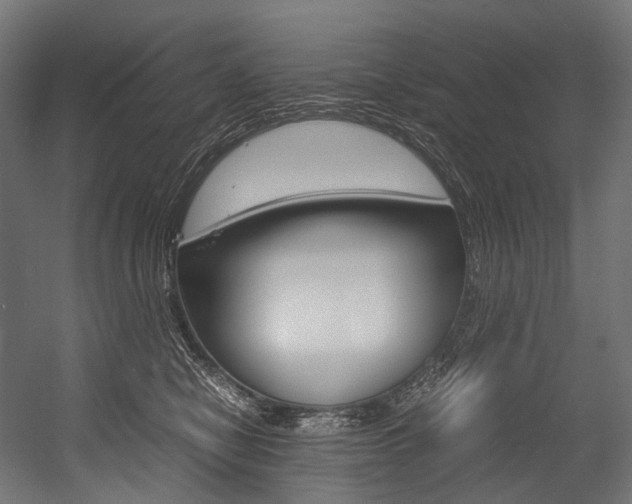 X0000054470470200507291052