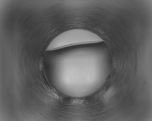 X0000054470471200507291052