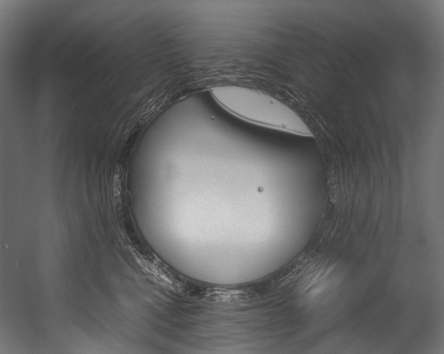 X0000054470472200507291052