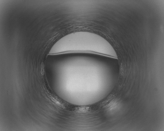 X0000054470474200507291052