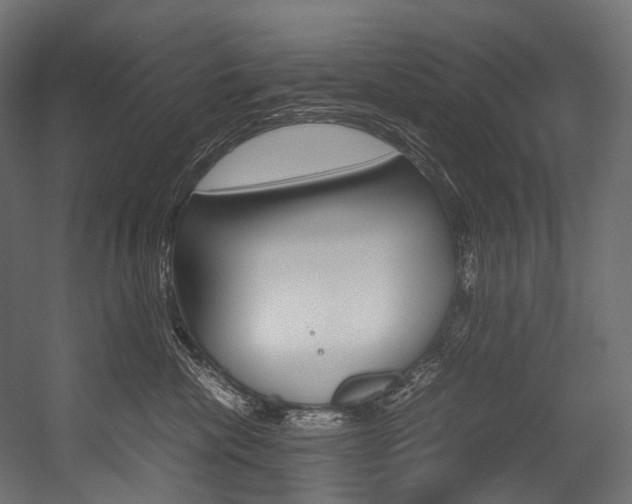 X0000054470476200507291052