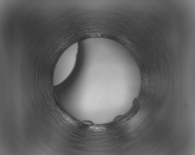X0000054470477200507291052