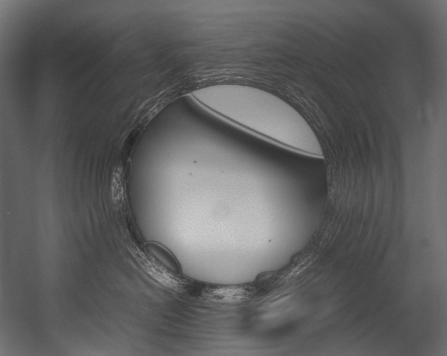 X0000054470478200507291052