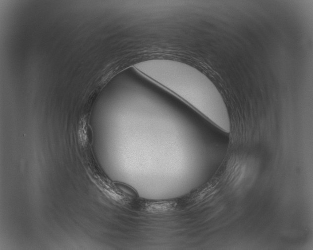 X0000054470479200507291052