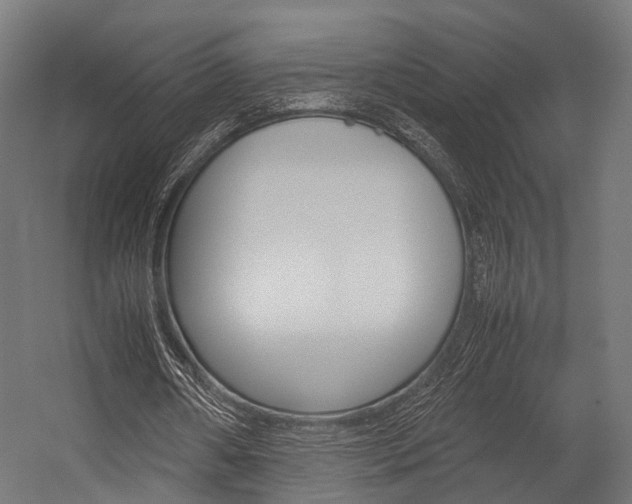 X0000054470482200507291051