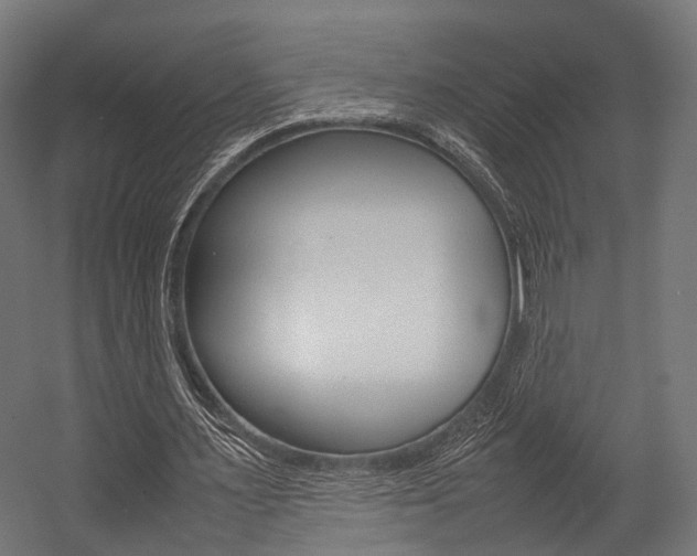 X0000054470483200507291051