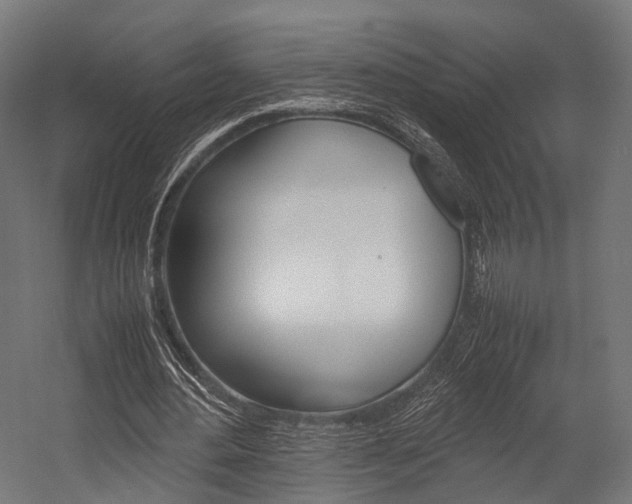X0000054470484200507291051
