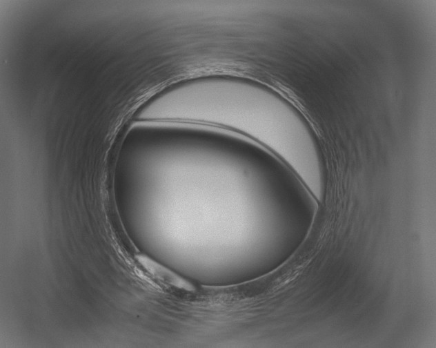 X0000054470485200507291051