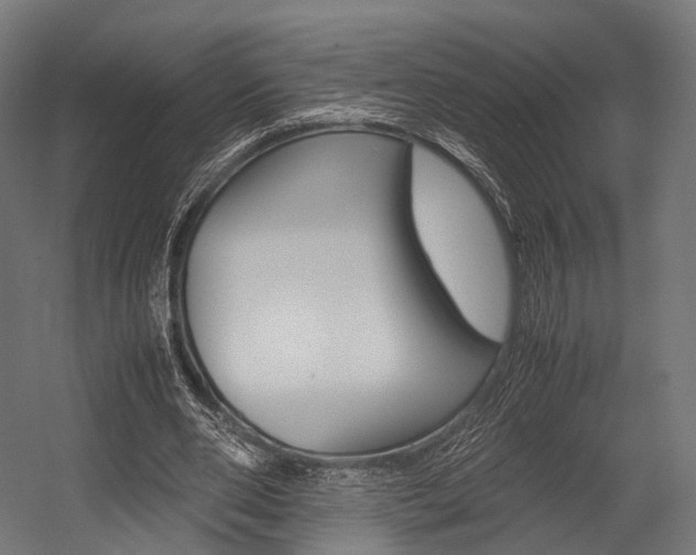 X0000054470486200507291051