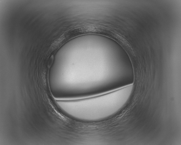 X0000054470489200507291051