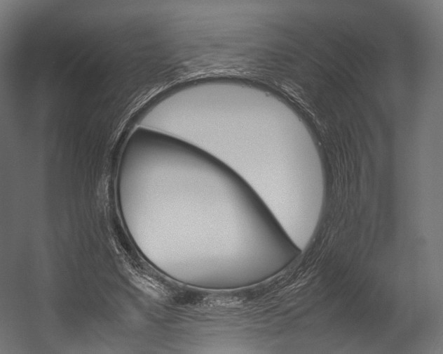 X0000054470491200507291051