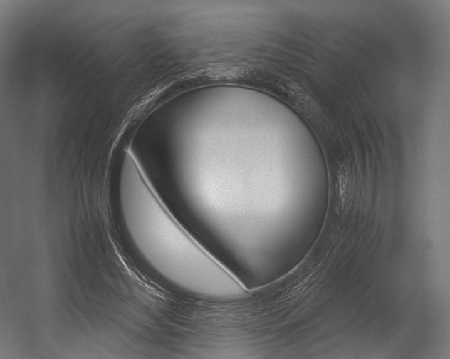 X0000054470492200507291051