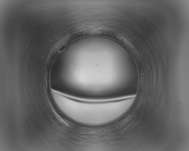 X0000054470493200507291051