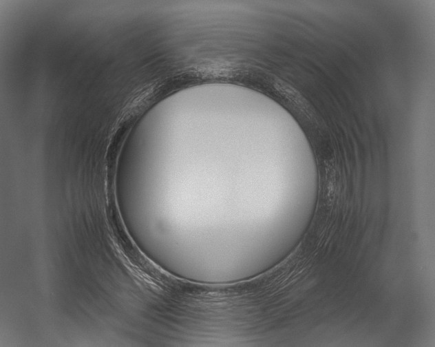 X0000054470494200507291051
