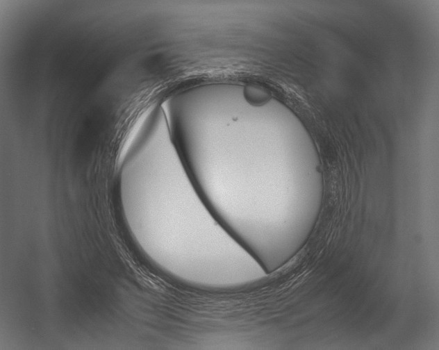 X0000054470495200507291051