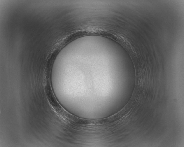 X0000054470496200507291051