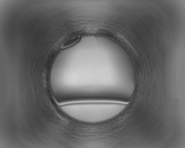 X0000054470497200507291051
