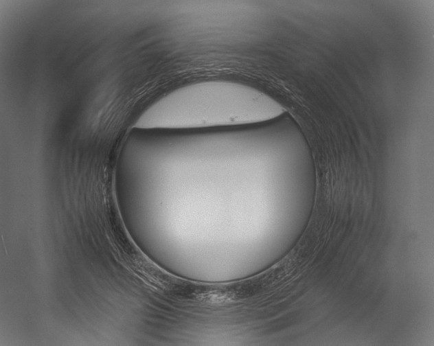 X0000054470498200507291051