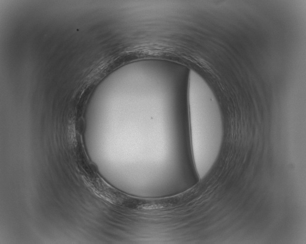 X0000054470500200507291051